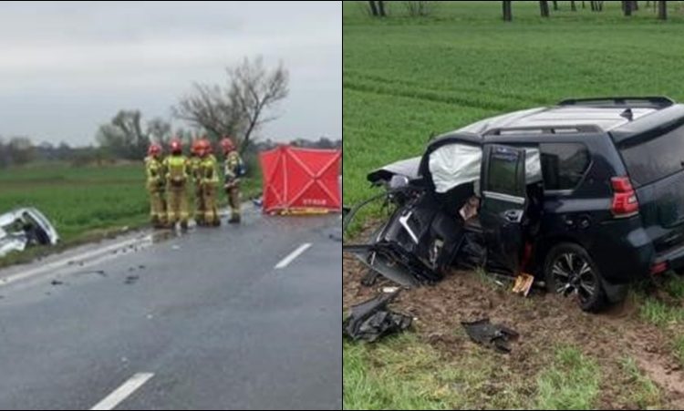 Śmiertelny Wypadek Na DK46 W Województwie Opolskim - Remiza.pl - Polski ...