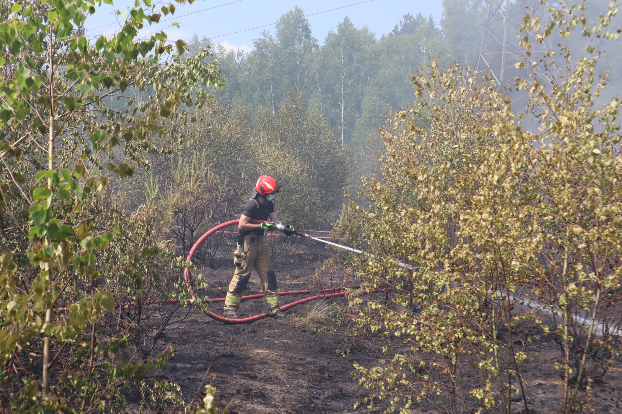 Pożar lasu przy ulicy Grudziądzkiej w Toruniu