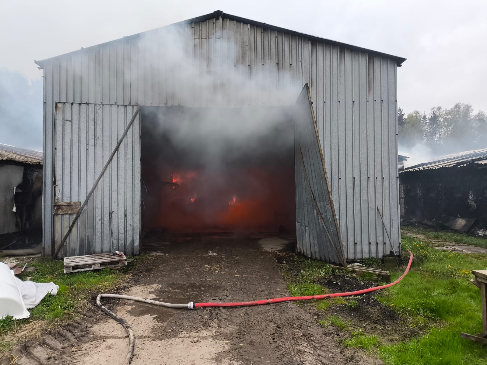 Pożar kurników w miejscowości Dywity